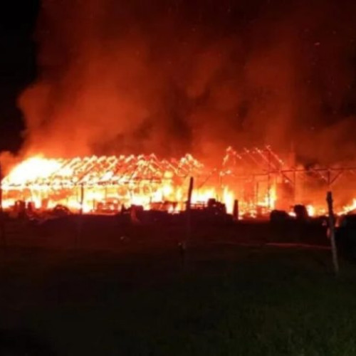 Incendiu devastator la o fermă de porci. Peste 600 de animale au murit