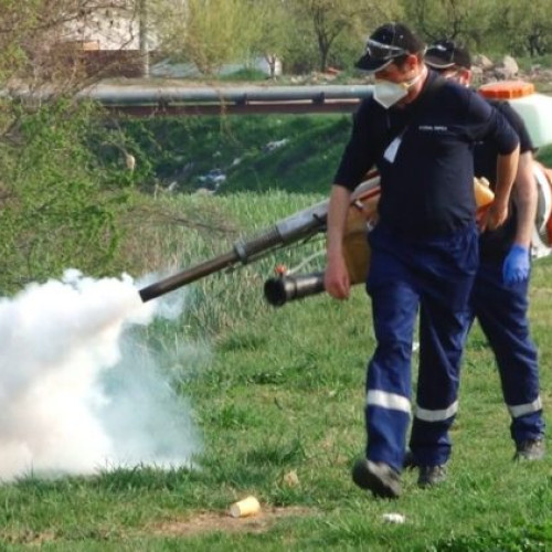 Dezinsecție terestră în Baia Mare: măsuri împotriva țânțarilor și căpușelor