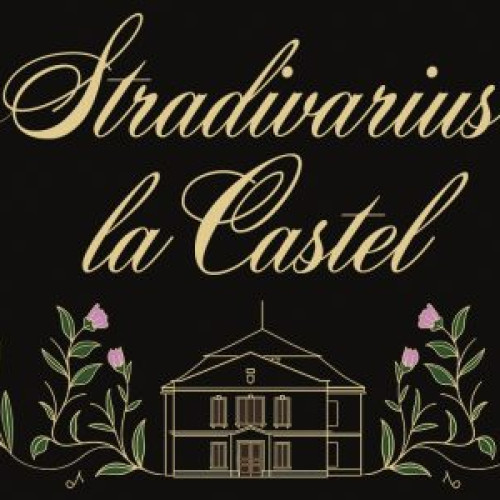 Concert extraordinar &quot;Stradivarius la Castel&quot; la Castelul Teleki