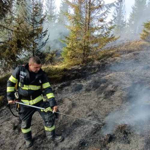 Incendiu de vegetație în Borsa, intervenție rapidă din partea autorităților