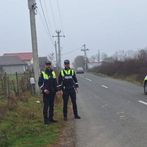 Acțiune a poliției în zonele Coltau și Culcea pentru protecția animalelor și siguranța rutieră