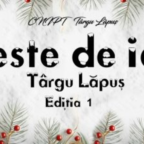 Târg de Crăciun &quot;Poveste de iarnă&quot; la Târgu Lăpuș