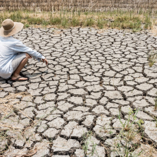 Avertismentul oamenilor de știință privind creșterea temperaturilor globale