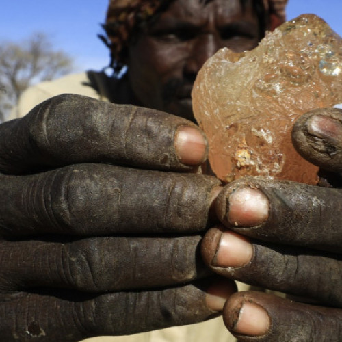 Trafic crescut de gumă arabică din Sudan, afectat de conflict