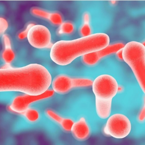 Alertă de Botulism în România: 11 Suspecți Incluzând Două Stări Critice!