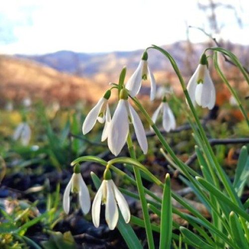 Prognoza meteo: Vreme caldă și ploi până în 14 martie