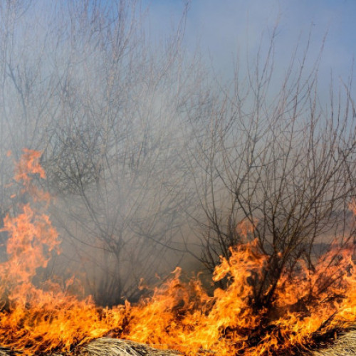 Foto Incendiu puternic lângă Ploiești. Focul s-a extins pe 30 de hectare și riscă să ajungă în apropierea unui cartier cu blocuri