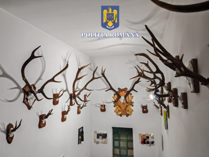 Trei persoane reținute după percheziții la Borsa pentru deținere ilegală de arme și materiale de vânătoare