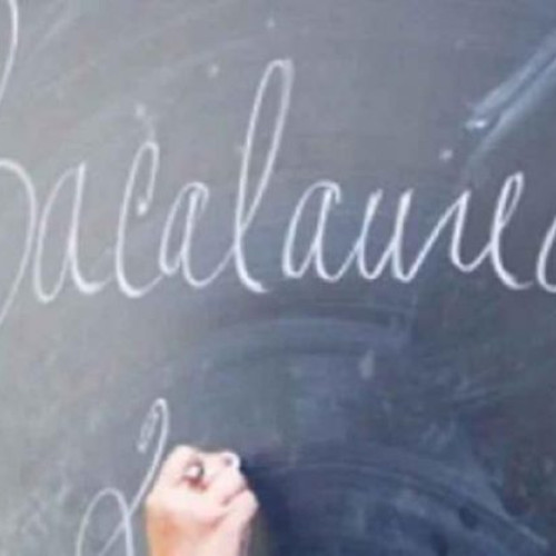 Rezultatele preliminare ale examenului de Bacalaureat 2025 au fost afișate luni, 18 august, până la ora 12.00. Elevii care au susținut examenul în această sesiune pot verifica notele atât pe site-ul Ministerului Educației, cât și pe avizierele liceelor. După afișare, aceștia pot depune cereri pentru vizualizarea lucrărilor, pentru a decide dacă urmează să depună o contestatie.