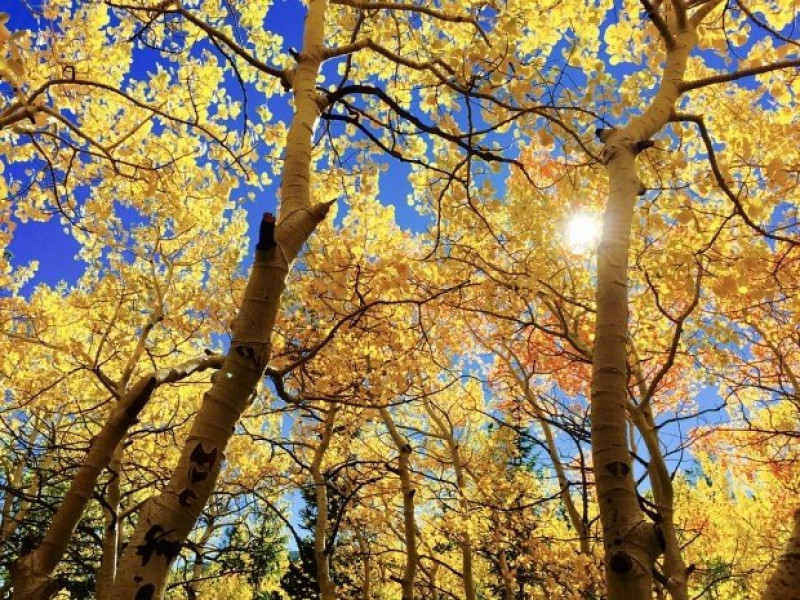 Prognoza meteo pentru patru săptămâni: 8 septembrie – 6 octombrie, temperaturi peste normal