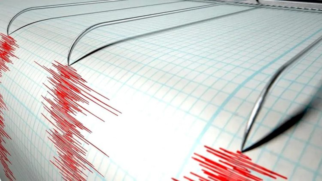 Cutremur de 3,1 grade în zona seismică Vrancea produs vineri dimineață