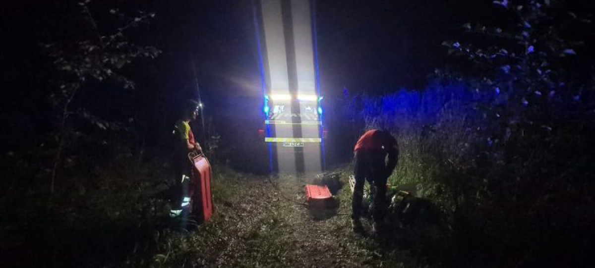 Bărbat rănit grav în urma prăbușirii unui copac la Baia Mare