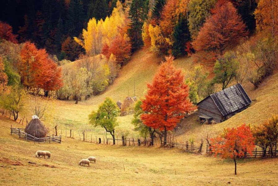 Prognoza meteo arată ploi și ninsori în zonele montane până duminică