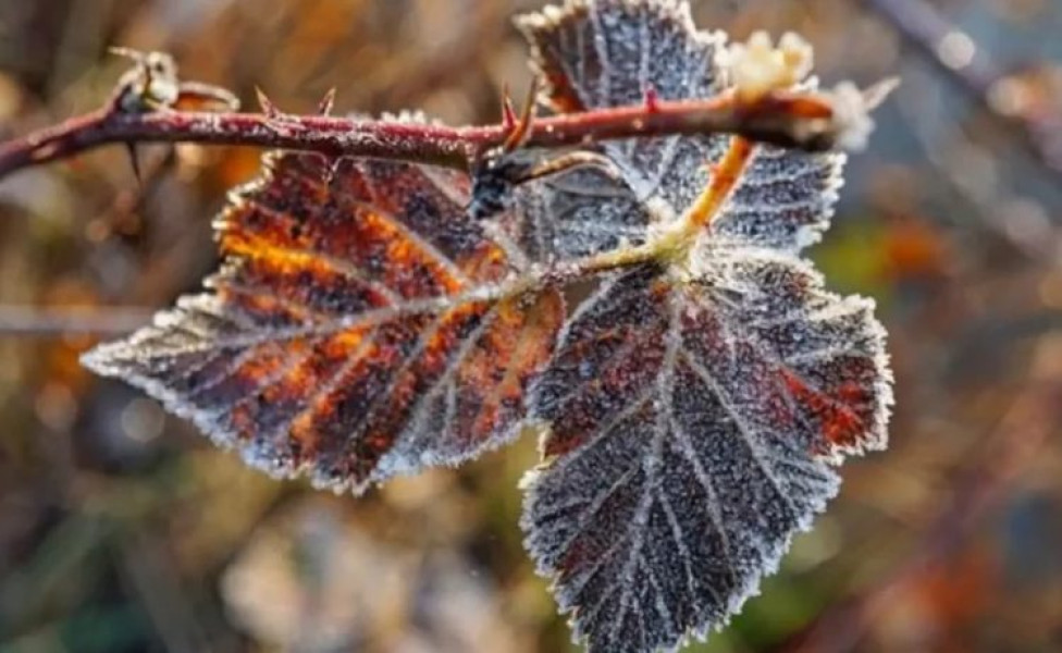 Temperaturi scăzute și polei pe drumurile din Maramureș în urma ninsorii