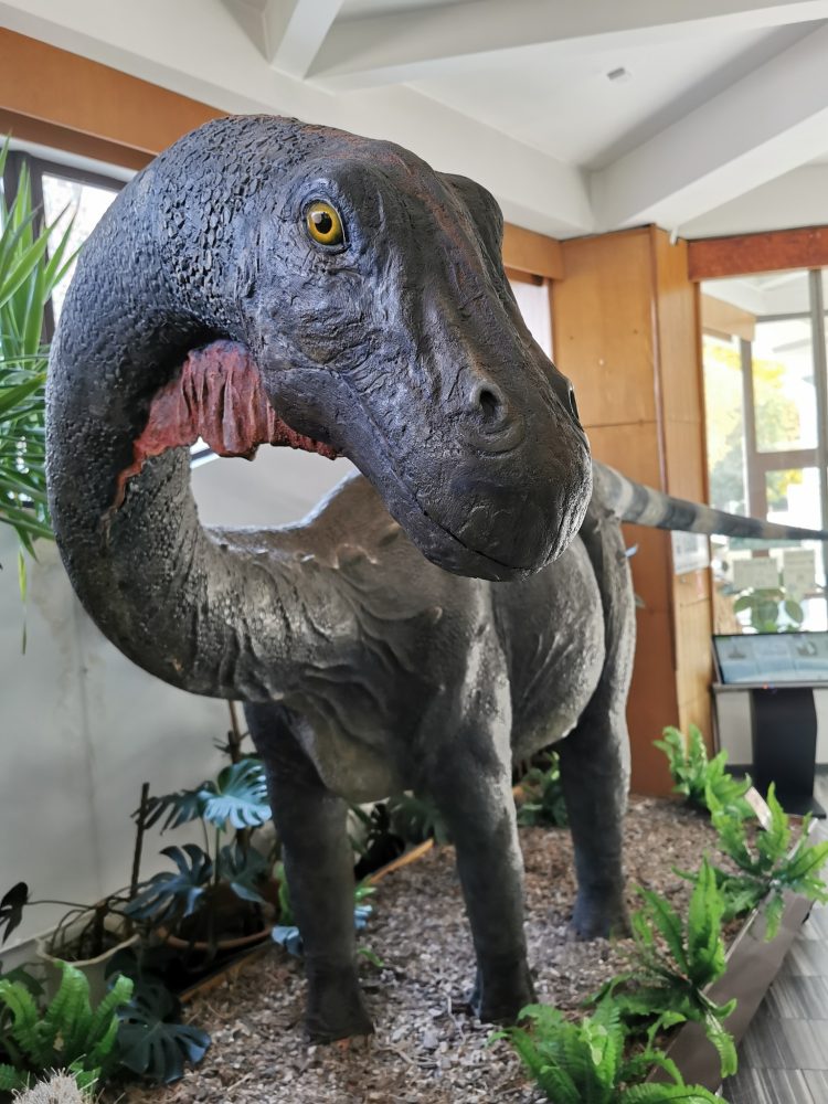 Expoziția de dinozauri de la Muzeul Județean de Mineralogie Baia Mare atrage publicul