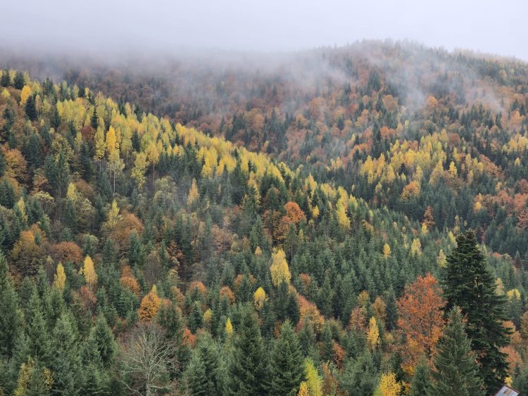 Temperaturi peste medie în toată țara până aproape de sfârșitul lunii noiembrie