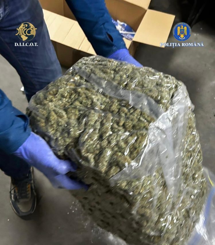 Doi inculpați reținuți pentru trafic de droguri aduse din Spania