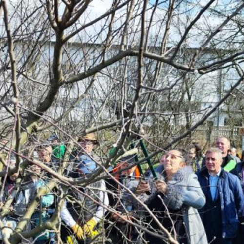 VI-a ediție a Seminarului de Pomicultură găzduită de Liceul Tehnologic Agricol "Alexiu Berinde" din Seini - Succes total!