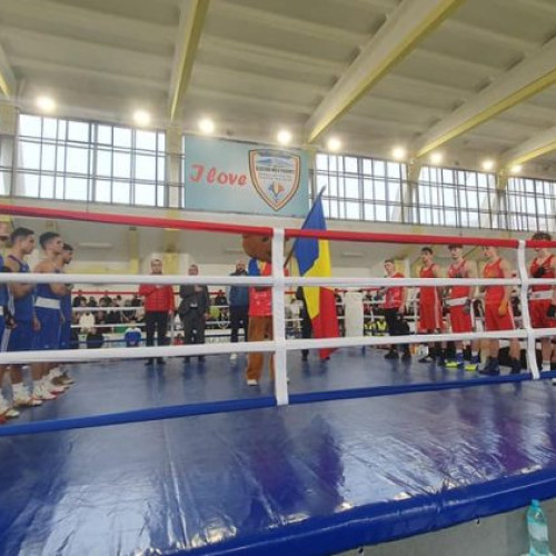 Finala Cupei României la Box Masculin Seniori 2024: Rezultate și Felicitări din partea Primarului Sighetu Marmației