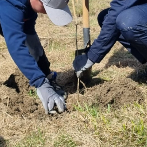 Plantarea de copaci în apropierea rezervației naturale Bavna: o inițiativă de împădurire împreună cu polițiștii, specialiștii silvici și elevii de la Liceul Internațional Baia Mare
