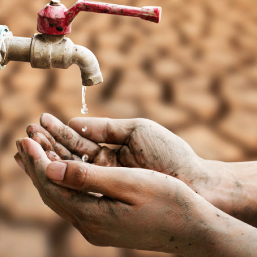 Ministrul Mediului prezice un viitor arid pentru România: Deșertificarea face ravagii în sudul țării, iar climatul va fi similar cu cel din Grecia.