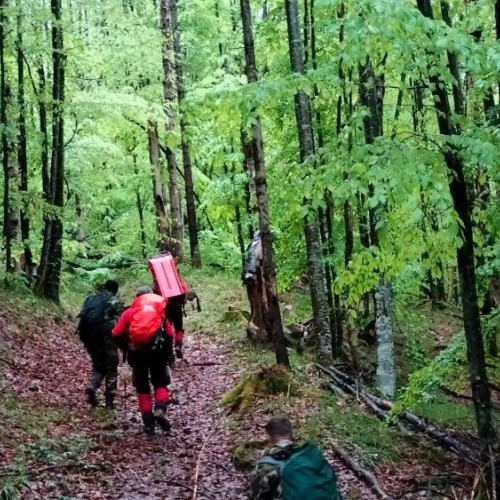 Trei turiști ucraineni, printre care unul în stare de hipotermie, sunt căutați de salvatorii montani în munții Maramureșului. Echipa de salvare, ajutată de poliția de frontieră, s-a deplasat cu dificultate în zona Vf. Șerban și a reușit să localizeze unul dintre cei căutați. Operaiunea continuă pentru găsirea celorlalți doi turiști care se află mai sus pe munte și au nevoie de ajutor medical. Vremea nefavorabilă a determinat echipele de intervenție să opteze pentru o acțiune exclusiv terestră.