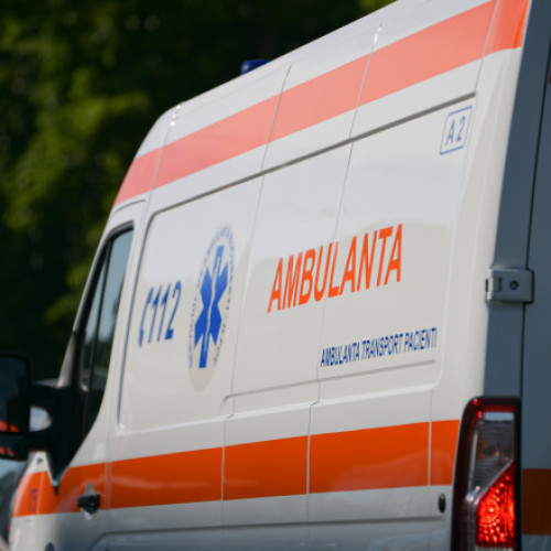 Un bărbat din Neamț, ucis de un copac într-o exploatație forestieră