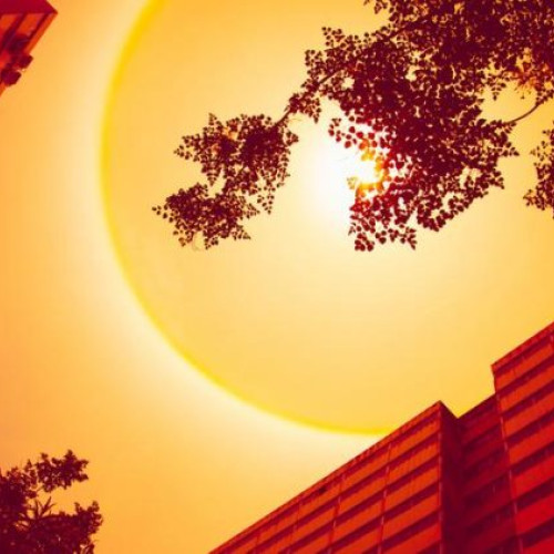 Meteorologii avertizează: luna iulie va fi foarte caldă în toată țara